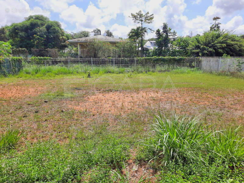 PHOTO-2025-11-19-12-12-16_lzn - Maison à MACOURIA