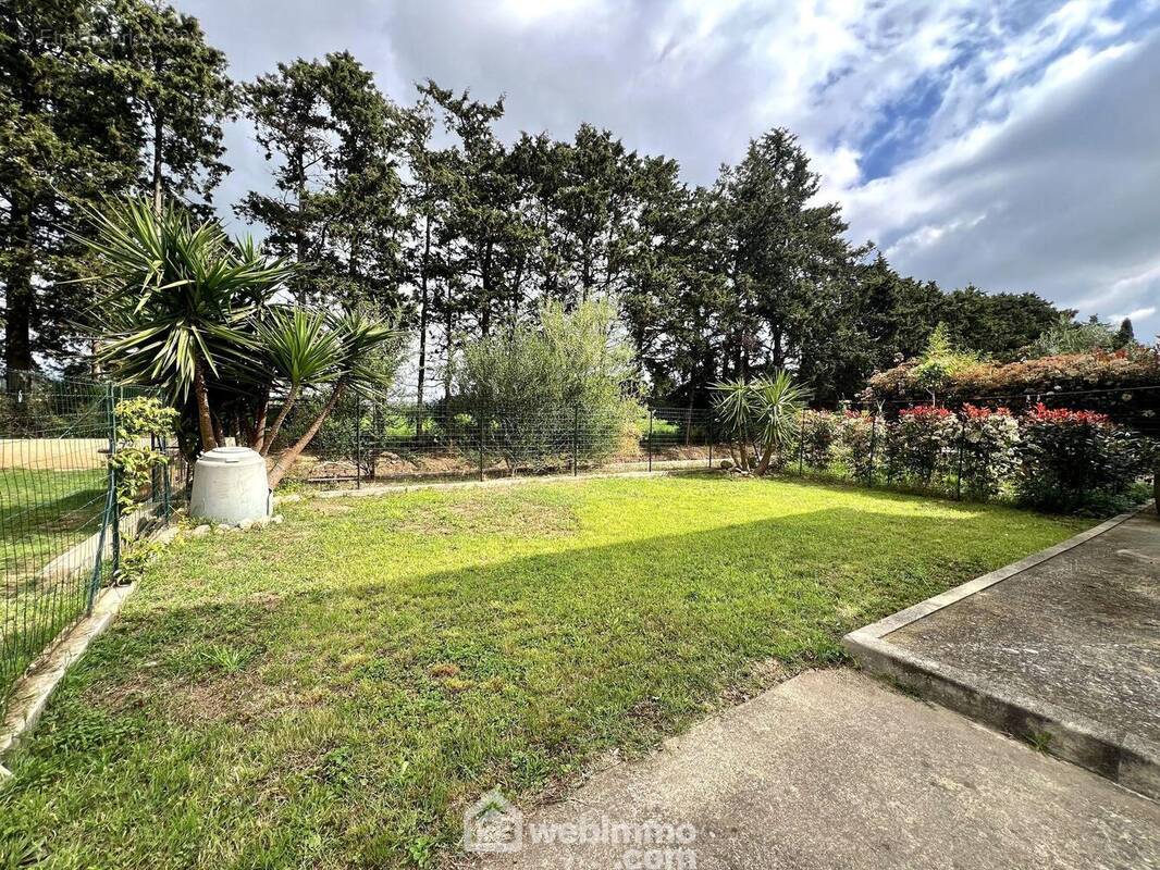 Un vrai jardin de plus de 100m2 - Appartement à LUCCIANA