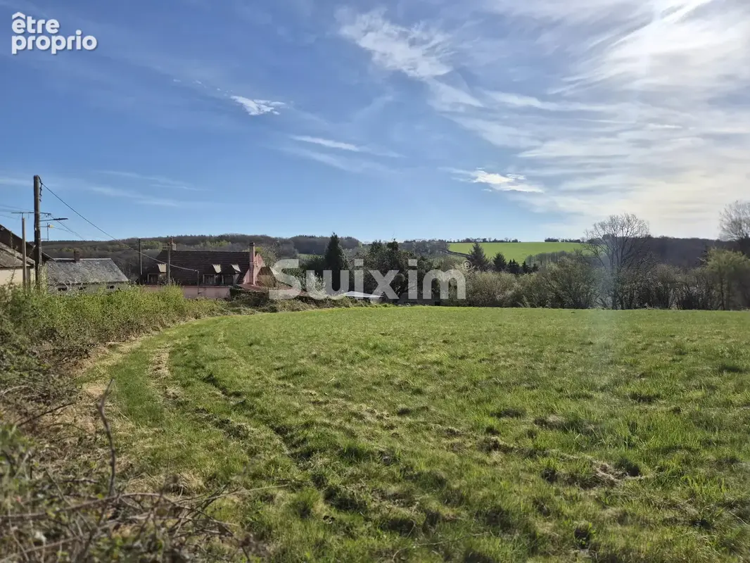 Maison à rénover avec 5 500 m² de terrain, calme, beau potentiel - photo 14