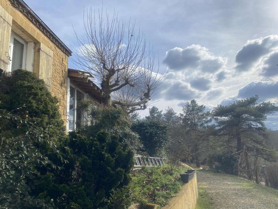 IMG6348 - Maison à ALLES-SUR-DORDOGNE