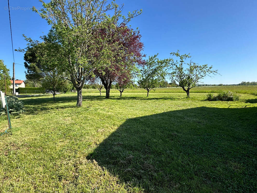 Terrain à GAILLAC