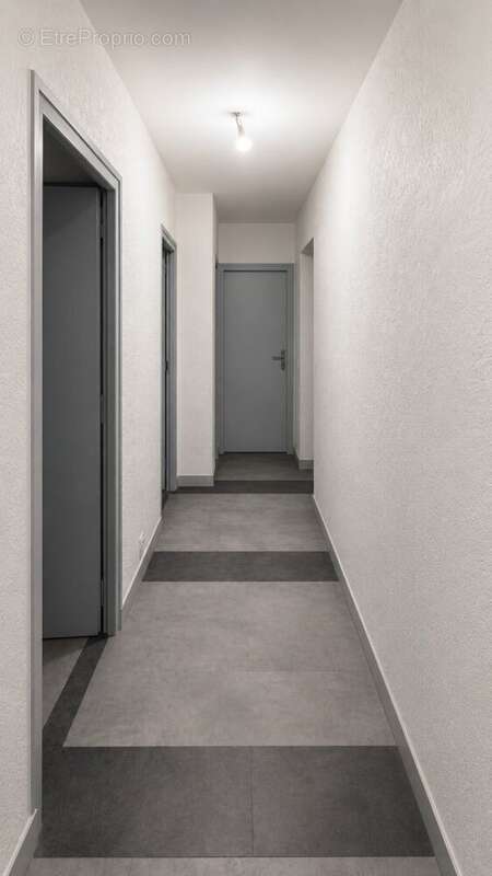 Saint Jeoire appartement T3 - photo 15
