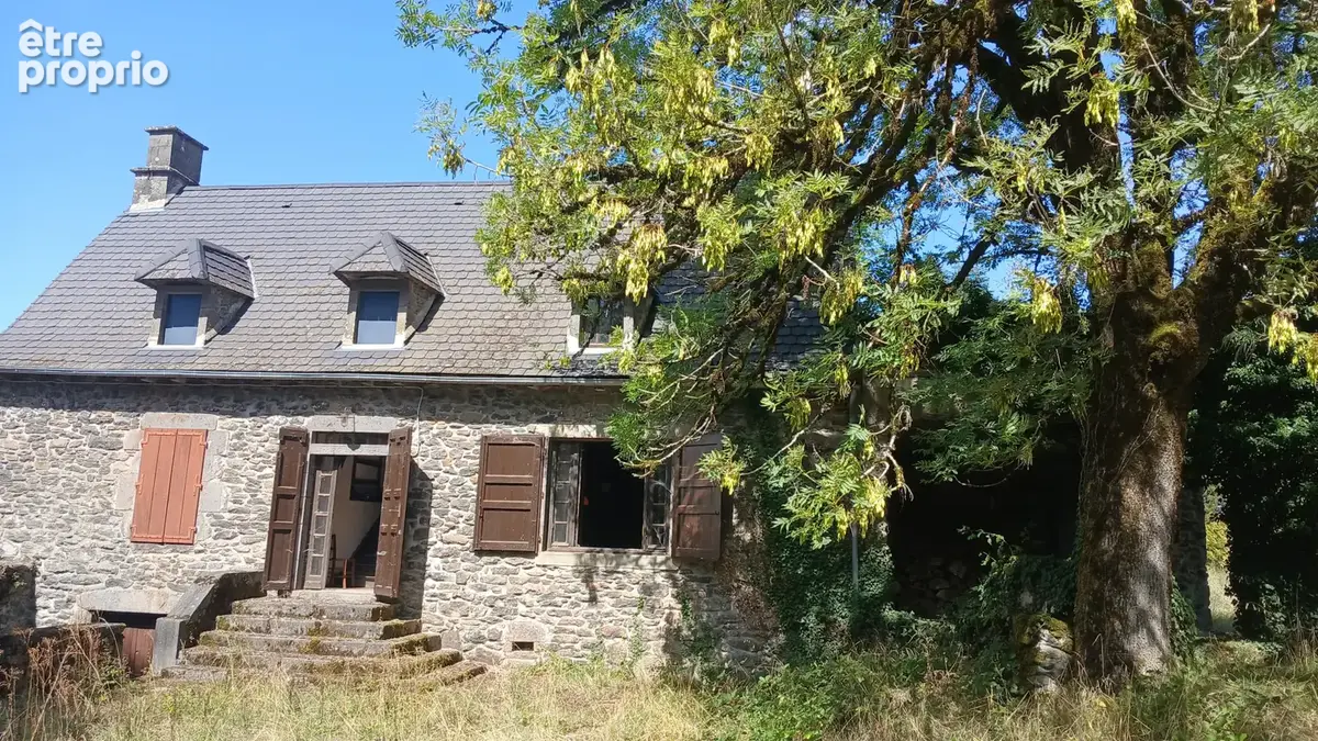 Maison auvergnate avec grange - photo 17