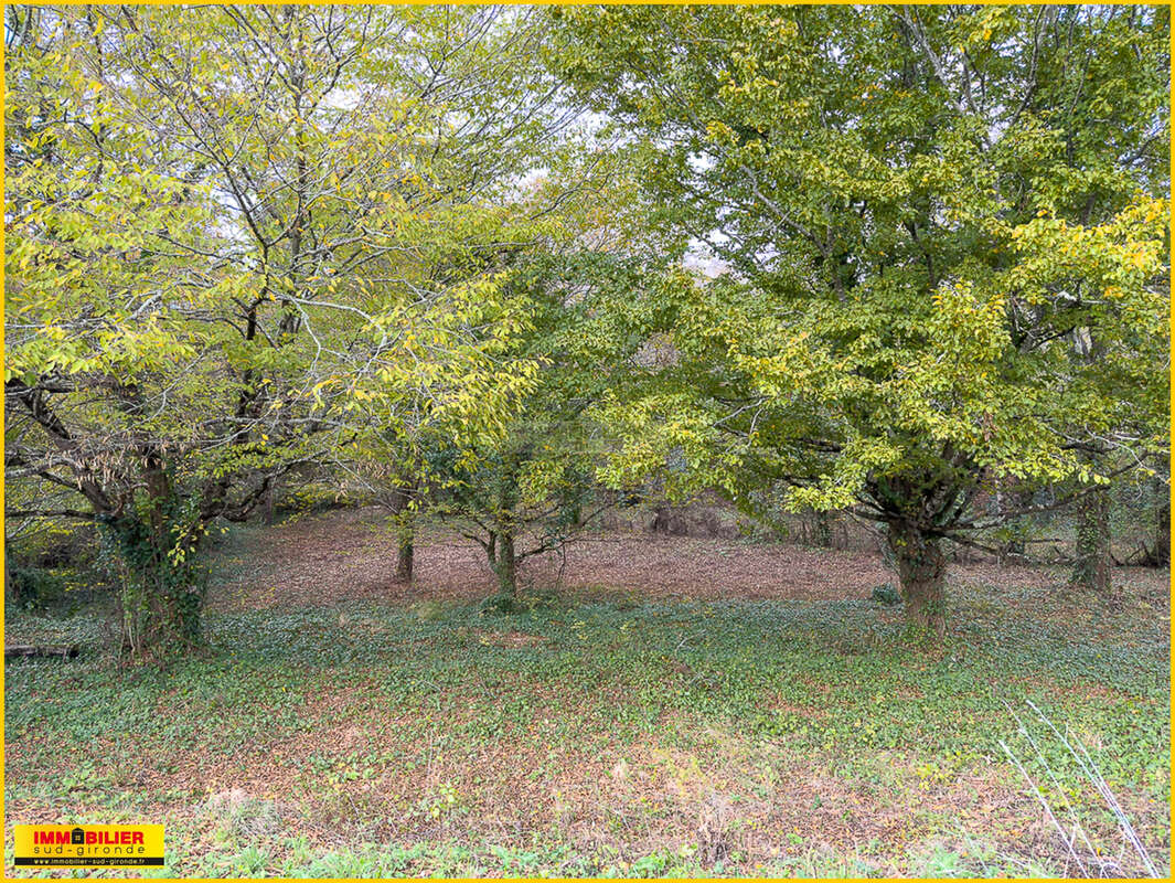 Terrain à CASTRES-GIRONDE
