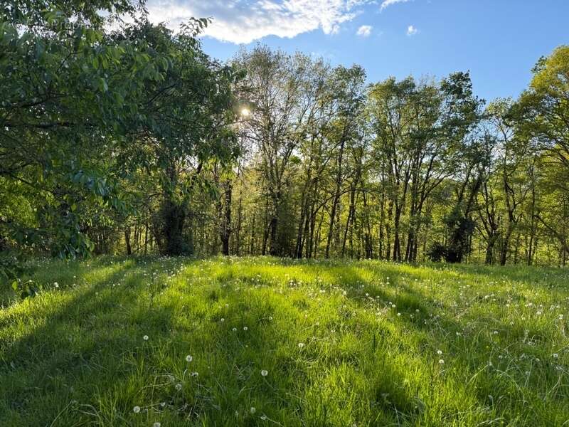Terrain à vendre de 2 247,00 m²  () - photo 2