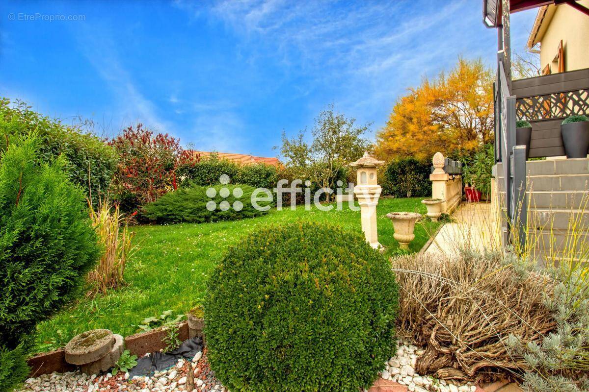 Maison à WASSELONNE