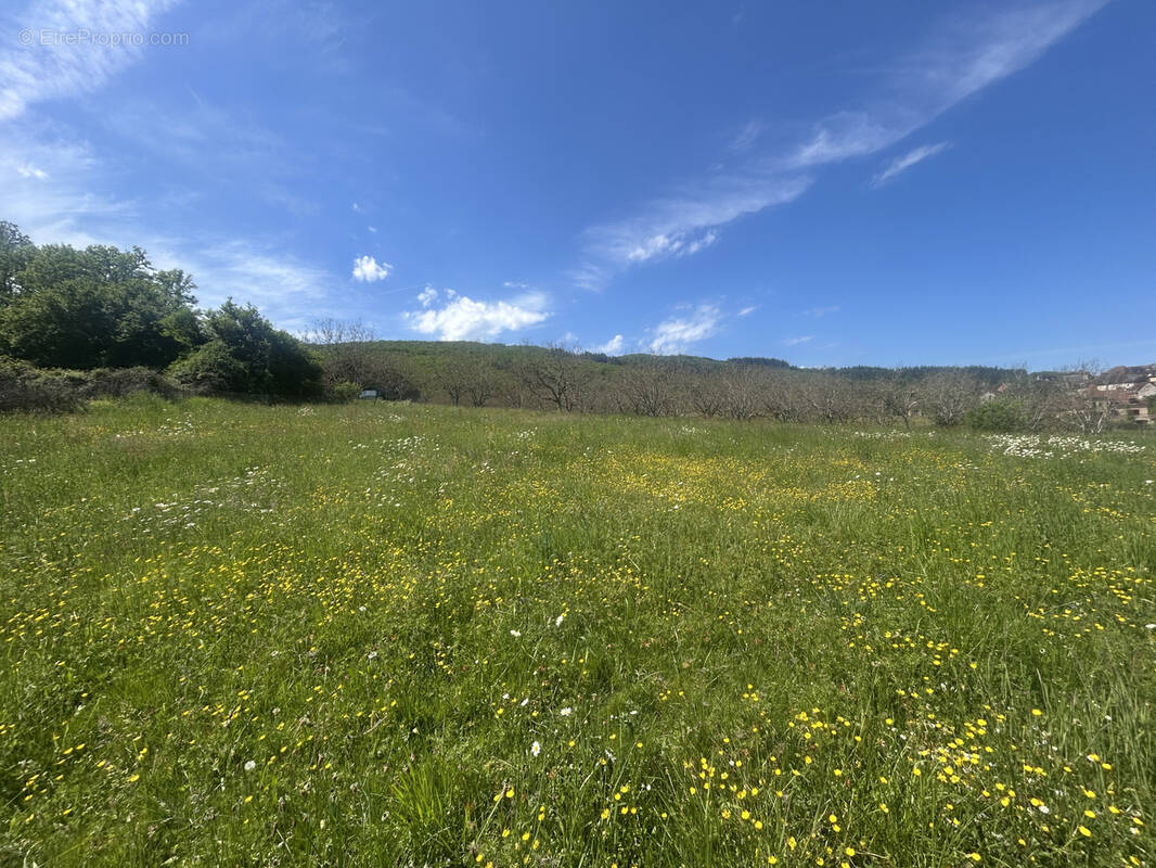 Terrain à LANZAC