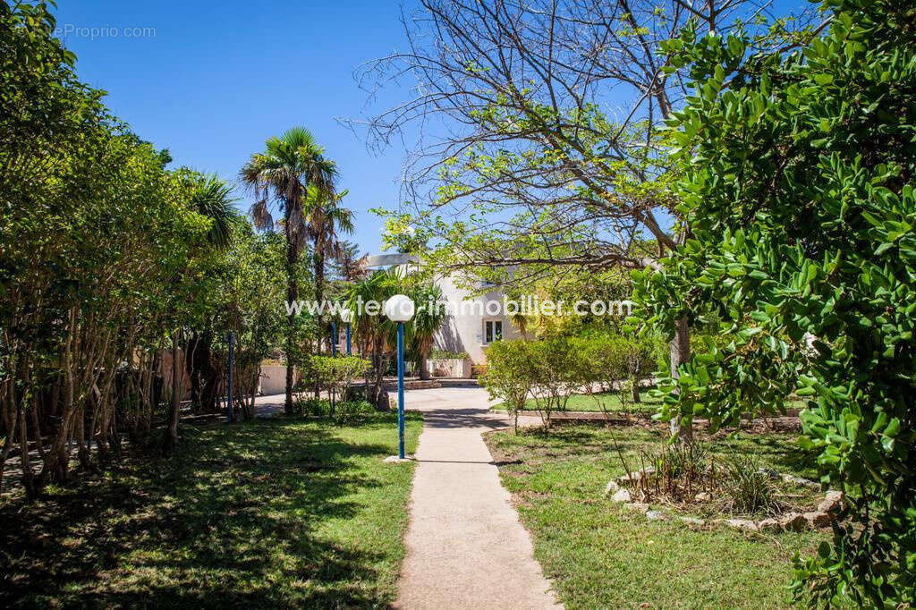 Appartement à SARI-SOLENZARA