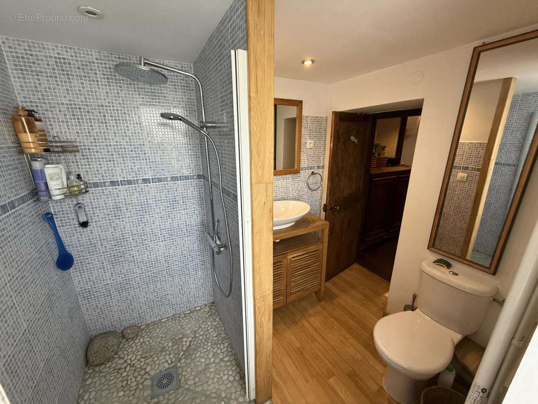 IMG_3557 - Maison à ARAMITS