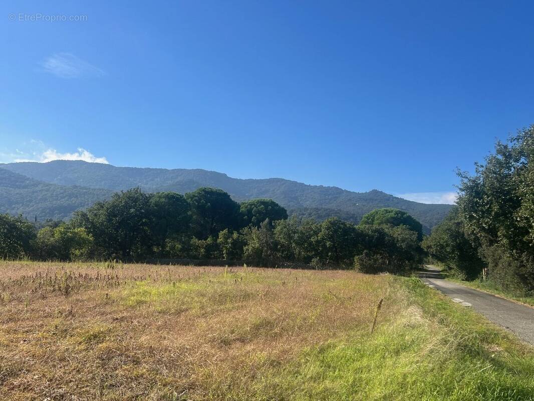 Terrain à ARGELES-SUR-MER