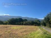 Terrain à ARGELES-SUR-MER