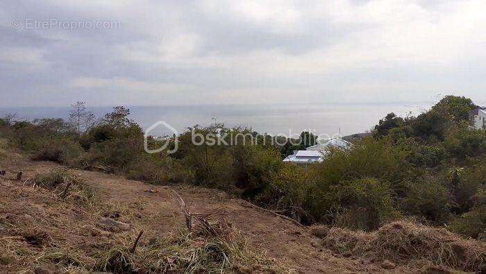 Terrain à VIEUX-HABITANTS