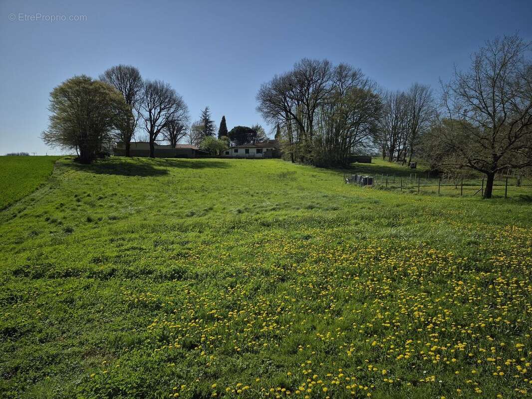 20260319110643 - Maison à CHAZELLES