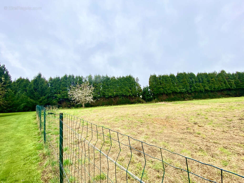 Terrain à MAUBEUGE