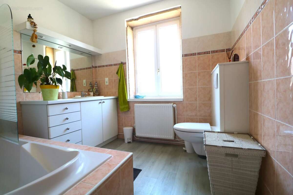 Appartement à SOUCIEU-EN-JARREST