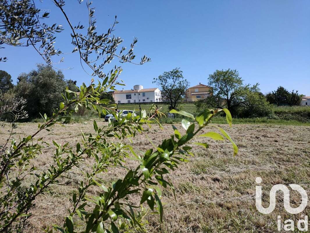 Photo 7 - Terrain à VALROS