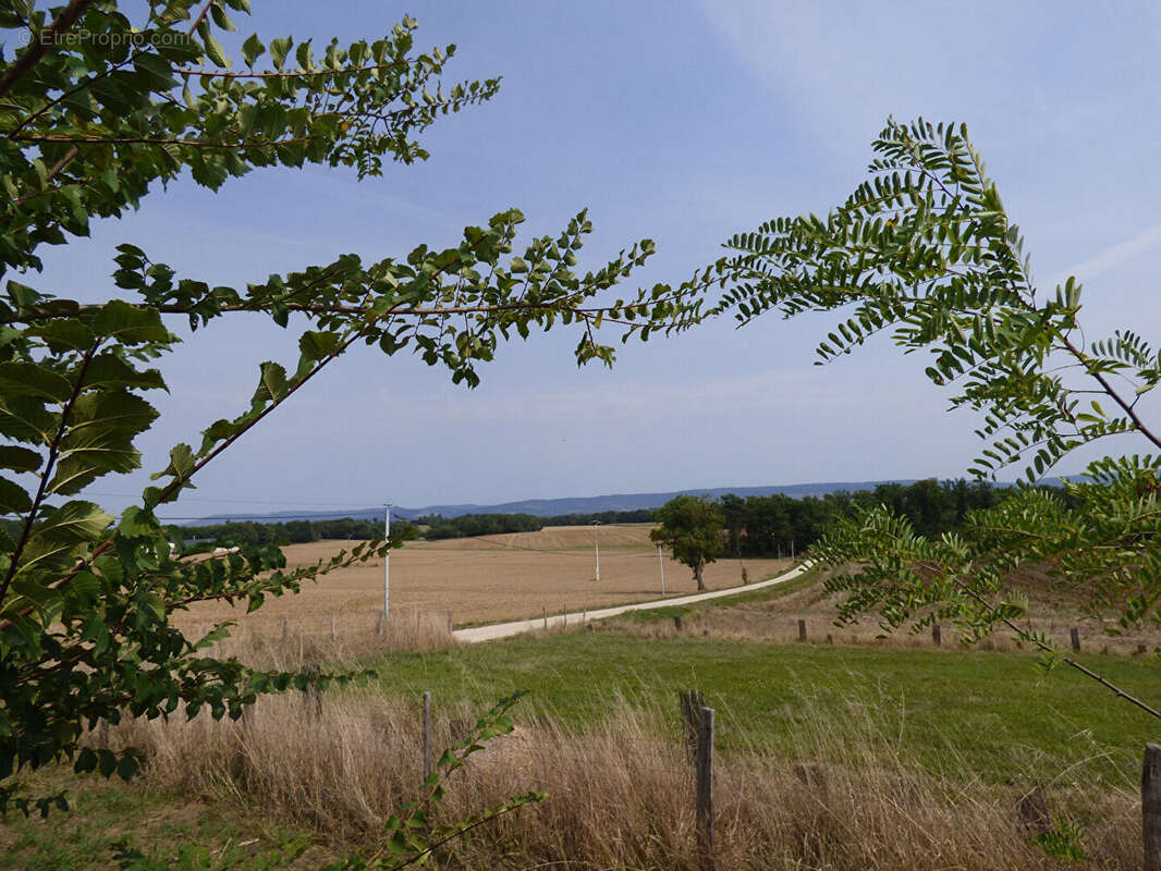 Ferme avec + de 6HA de terrain - photo 2