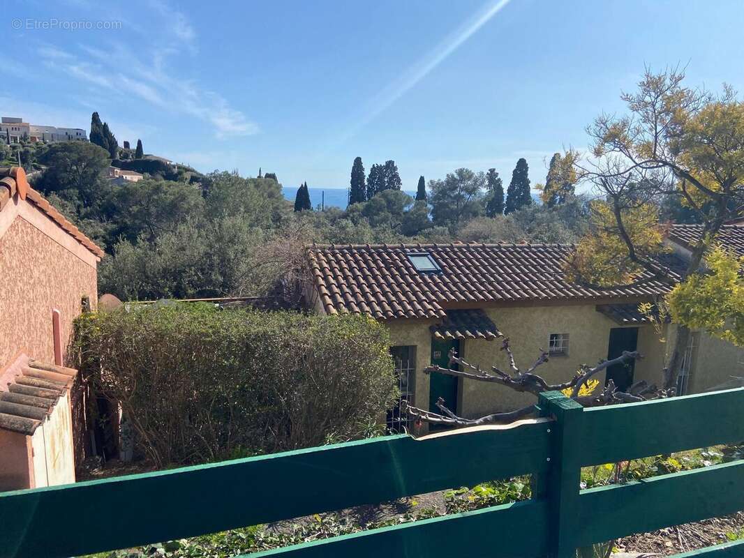 Photo 7 - Maison à VALLAURIS