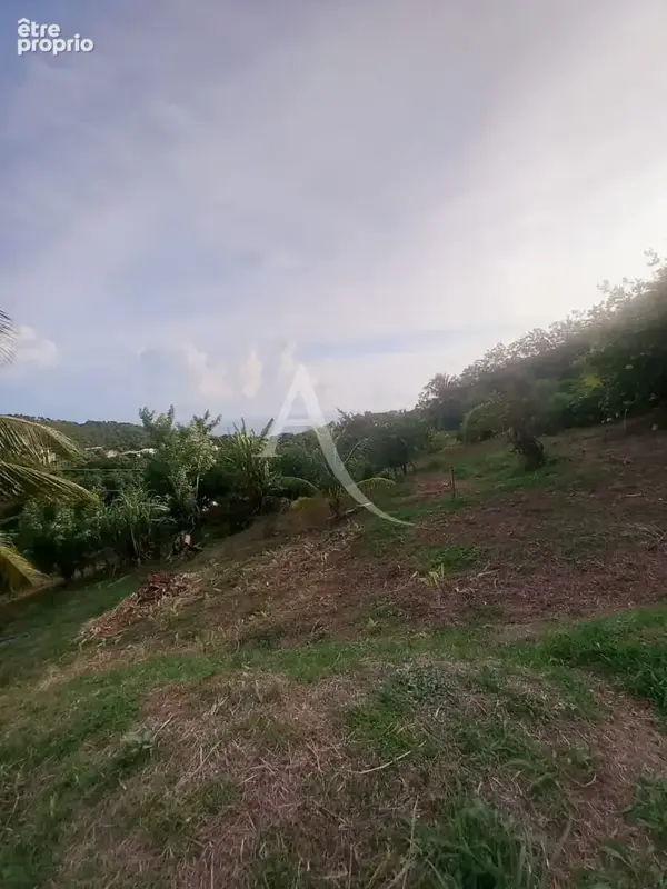 Terrain à LE MORNE-VERT