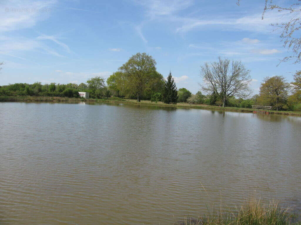 Terrain à MILLAC