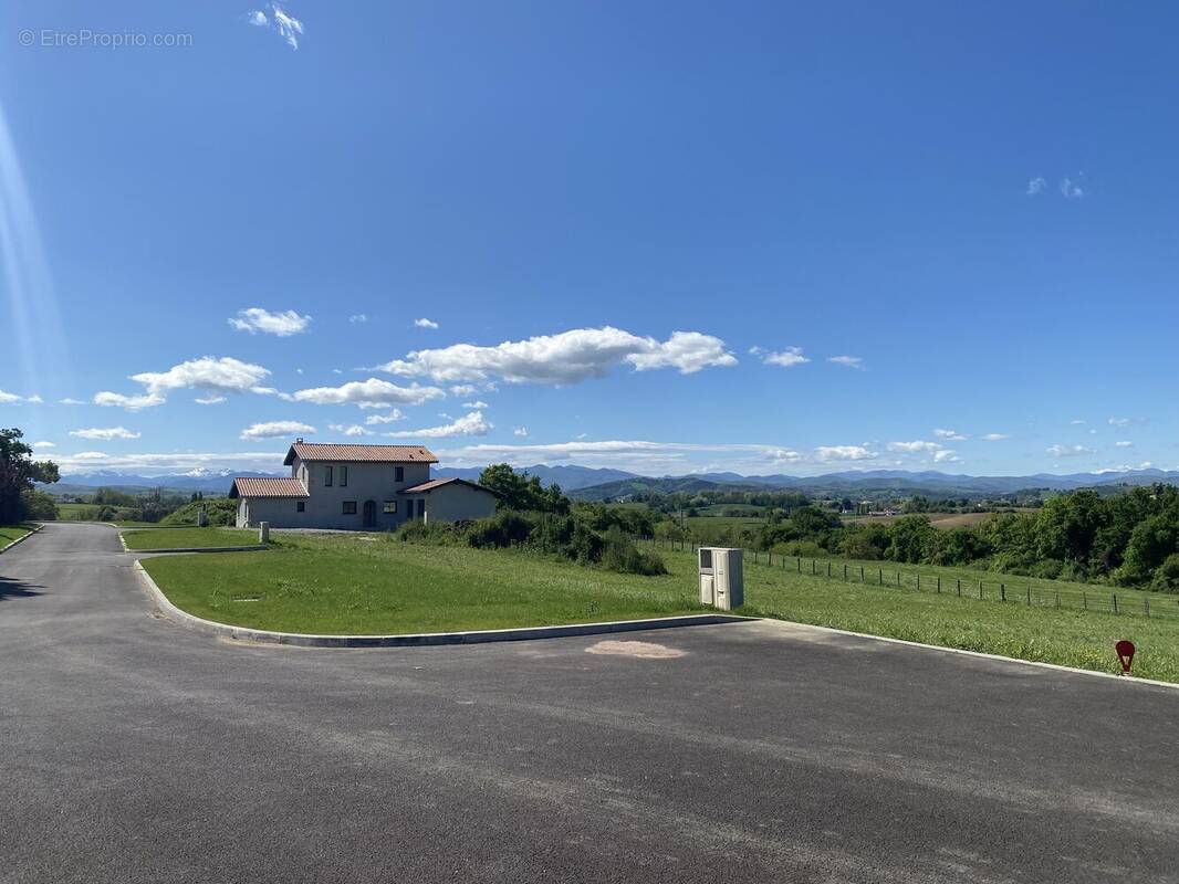 Photo 1 - Terrain à ARBOUET-SUSSAUTE