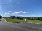 Photo 1 - Terrain à ARBOUET-SUSSAUTE