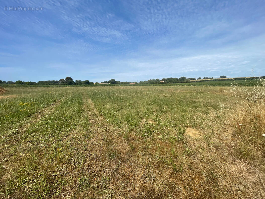 Terrain à CHEMIRE-LE-GAUDIN