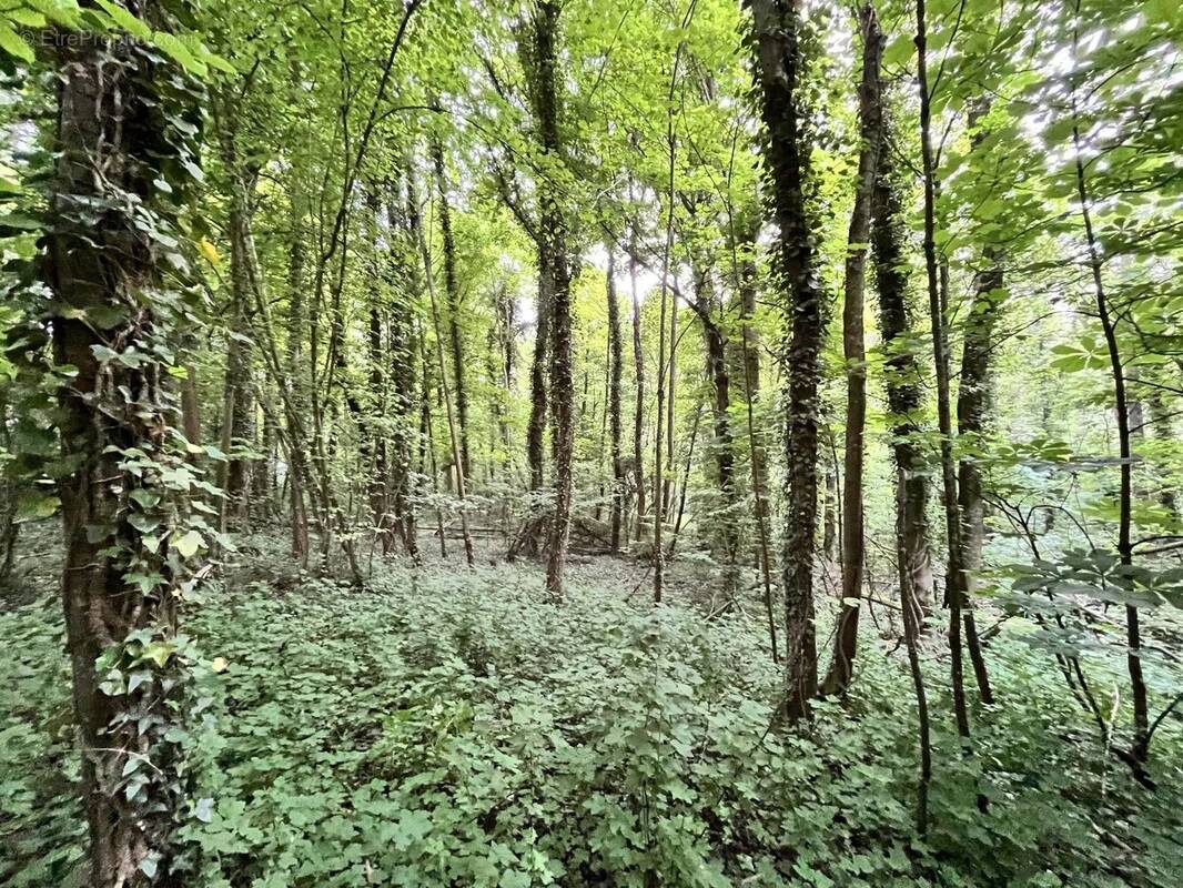 Terrain à CHEVREGNY