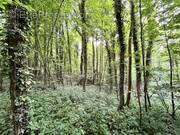 Terrain à CHEVREGNY