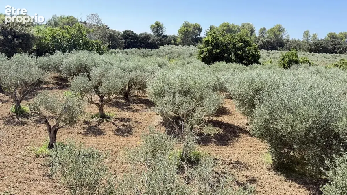 Propriété Alpilles Sud  dans site exceptionnel et protégé - photo 10