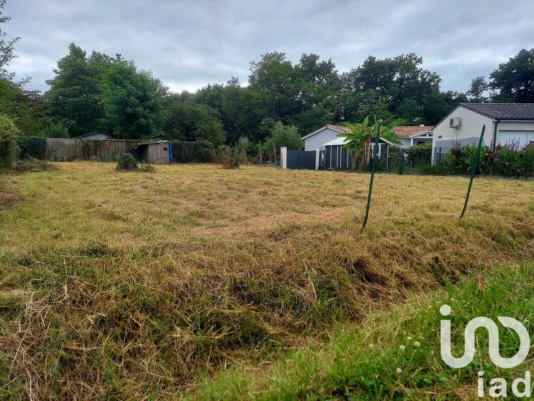 Photo 3 - Terrain à BLANQUEFORT