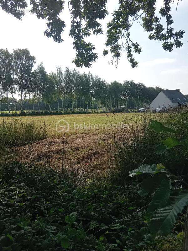 Terrain de 2756 m2-Les Portes du Coglais-Localisation exacte et dossier complet sur demande - photo 2