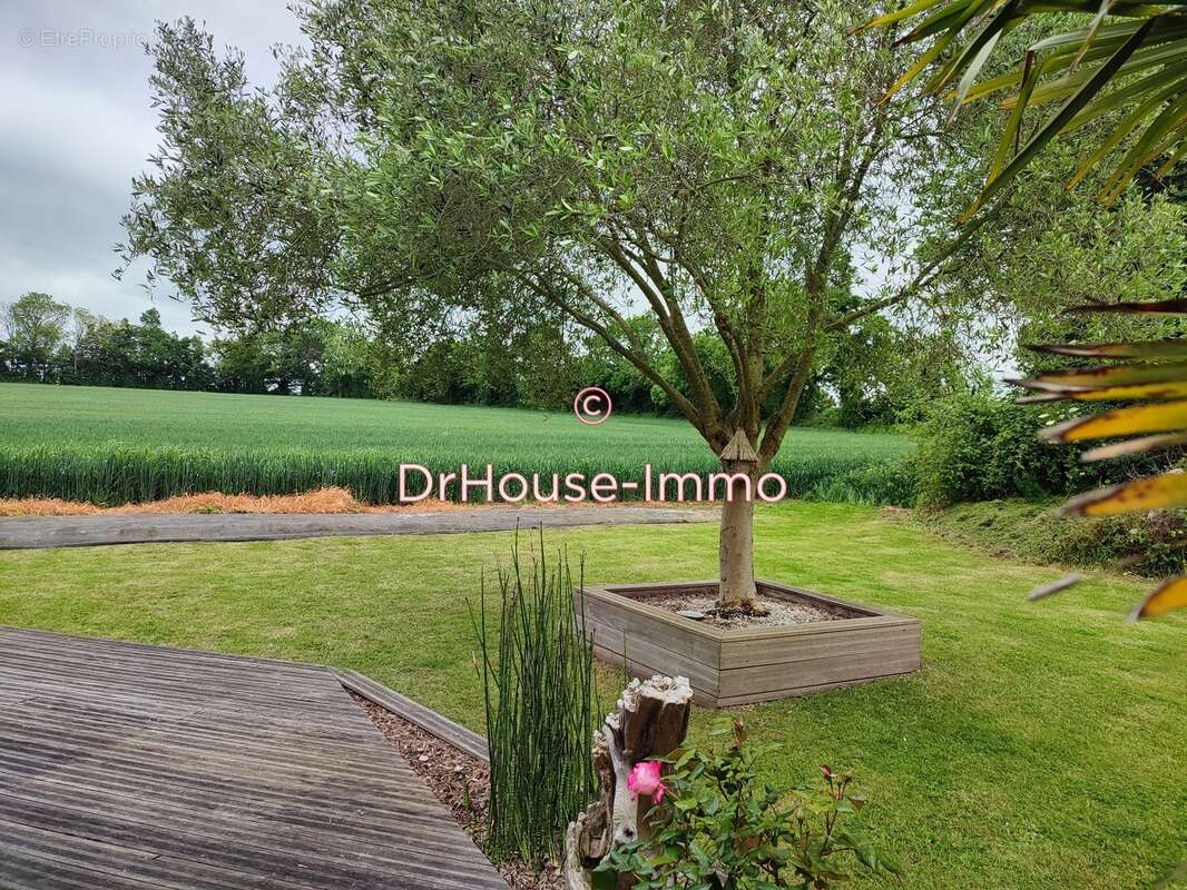 Maison à RUCQUEVILLE