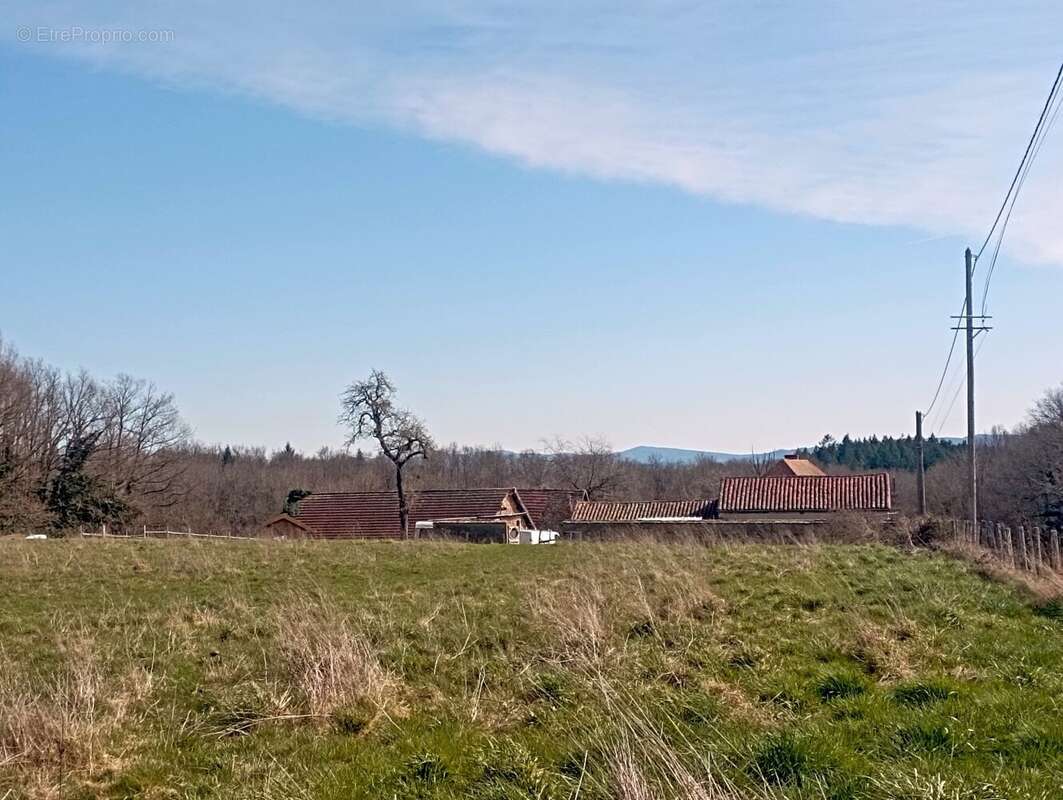 Maison à SAINT-PIERRE-LA-NOAILLE