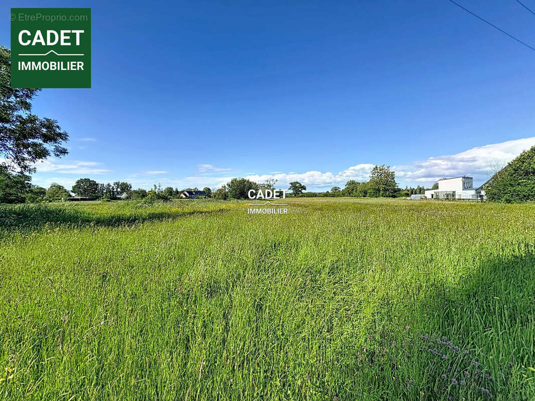 Terrain 2100 m² à Quettreville-Sur-Sienne  - photo 2