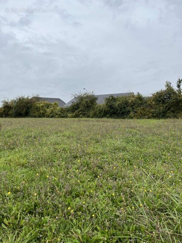 Terrain à VALFRAMBERT