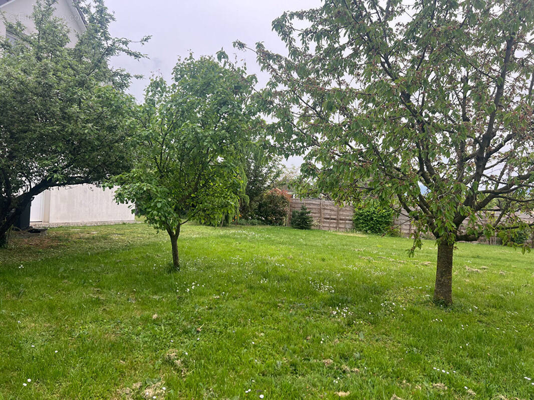 Terrain à MERXHEIM