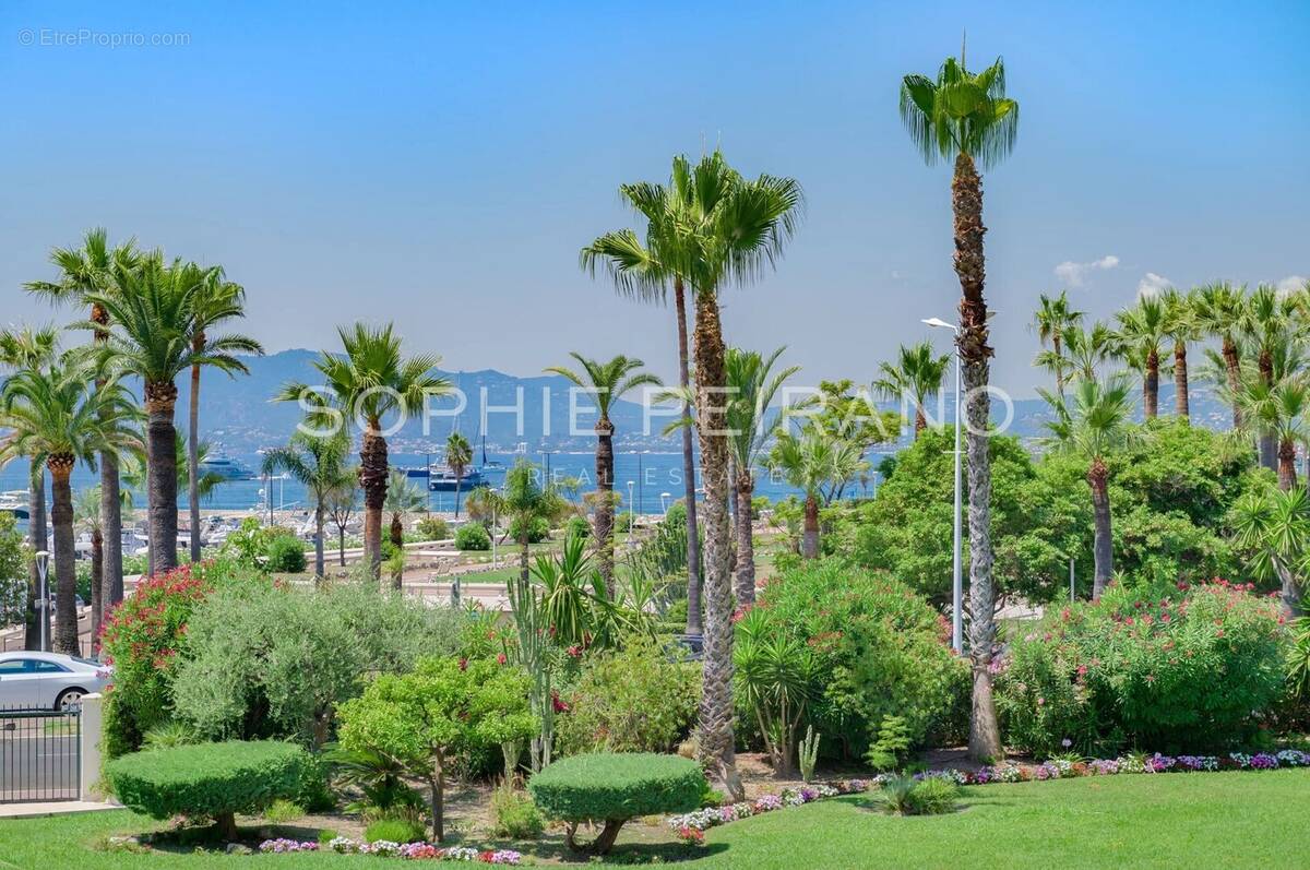 Appartement à CANNES