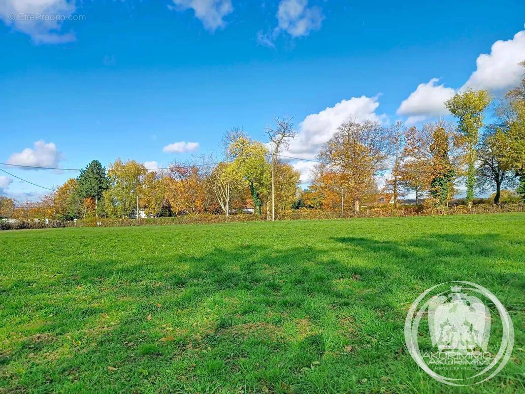 Terrain à LAPALISSE