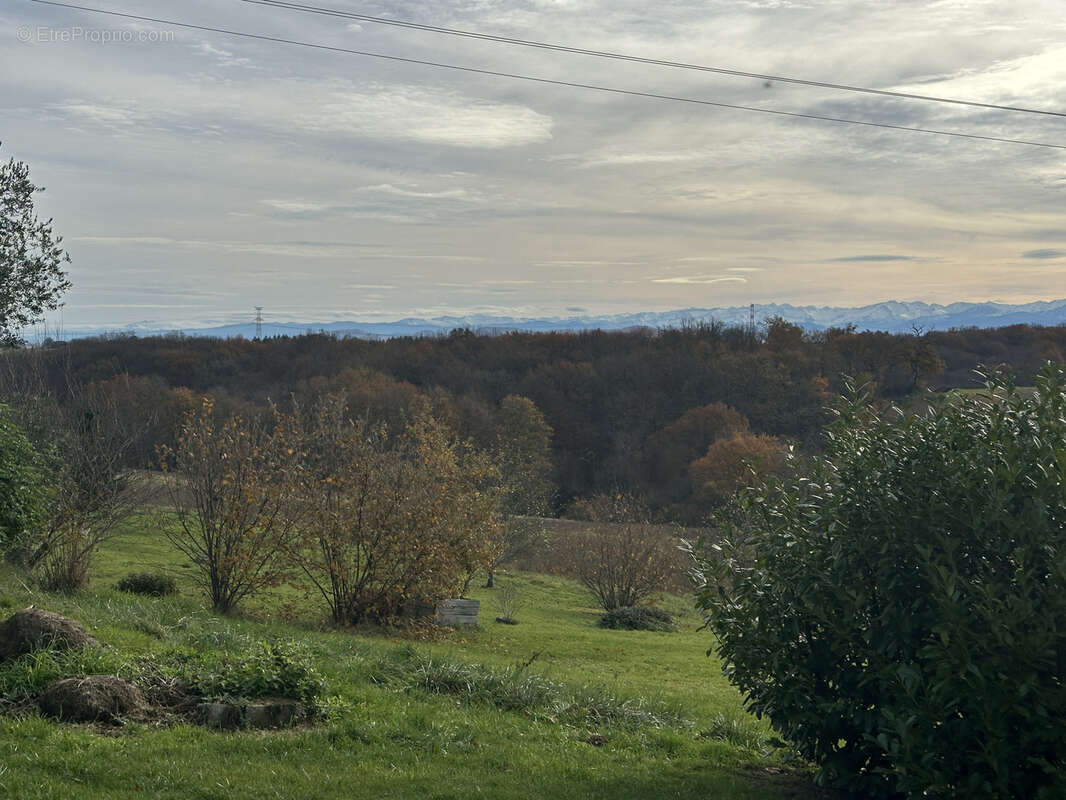 Maison à L'ISLE-EN-DODON