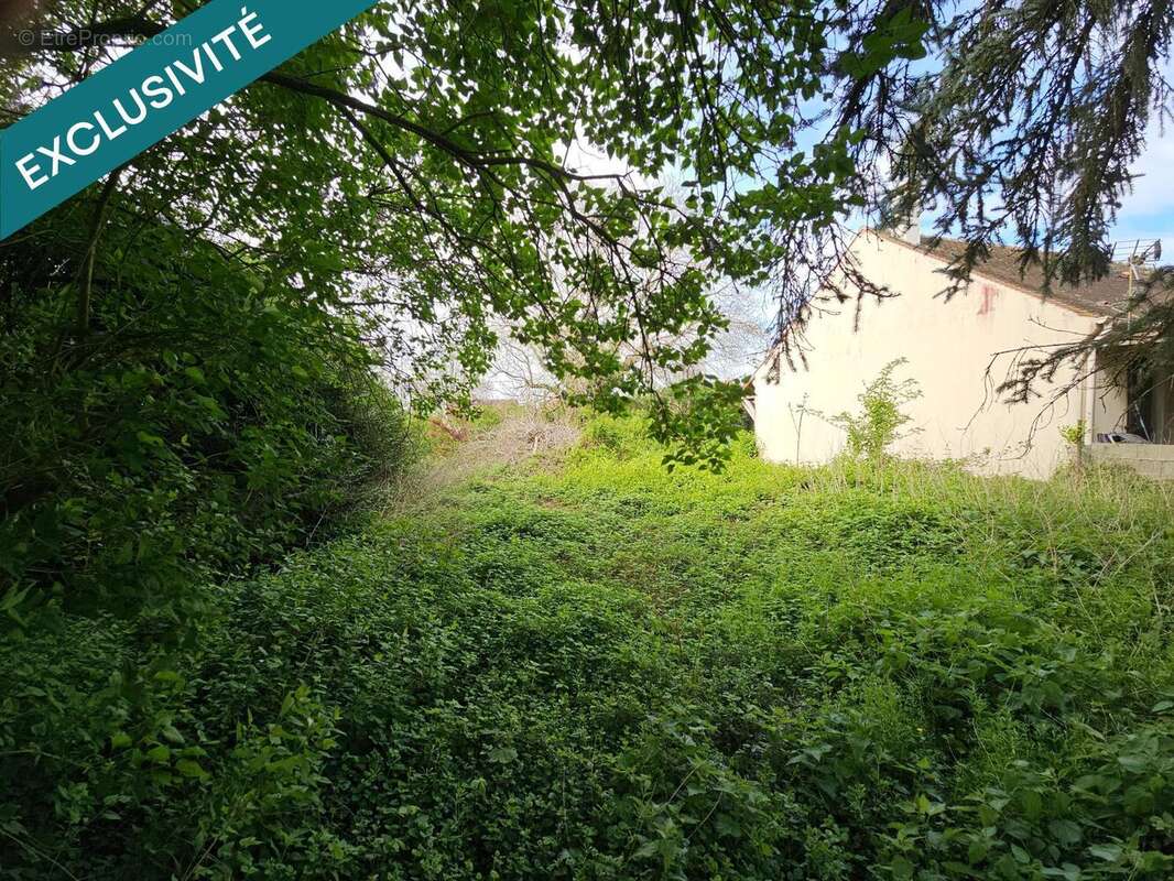 Photo 3 - Terrain à VILLIERS-SAINT-GEORGES