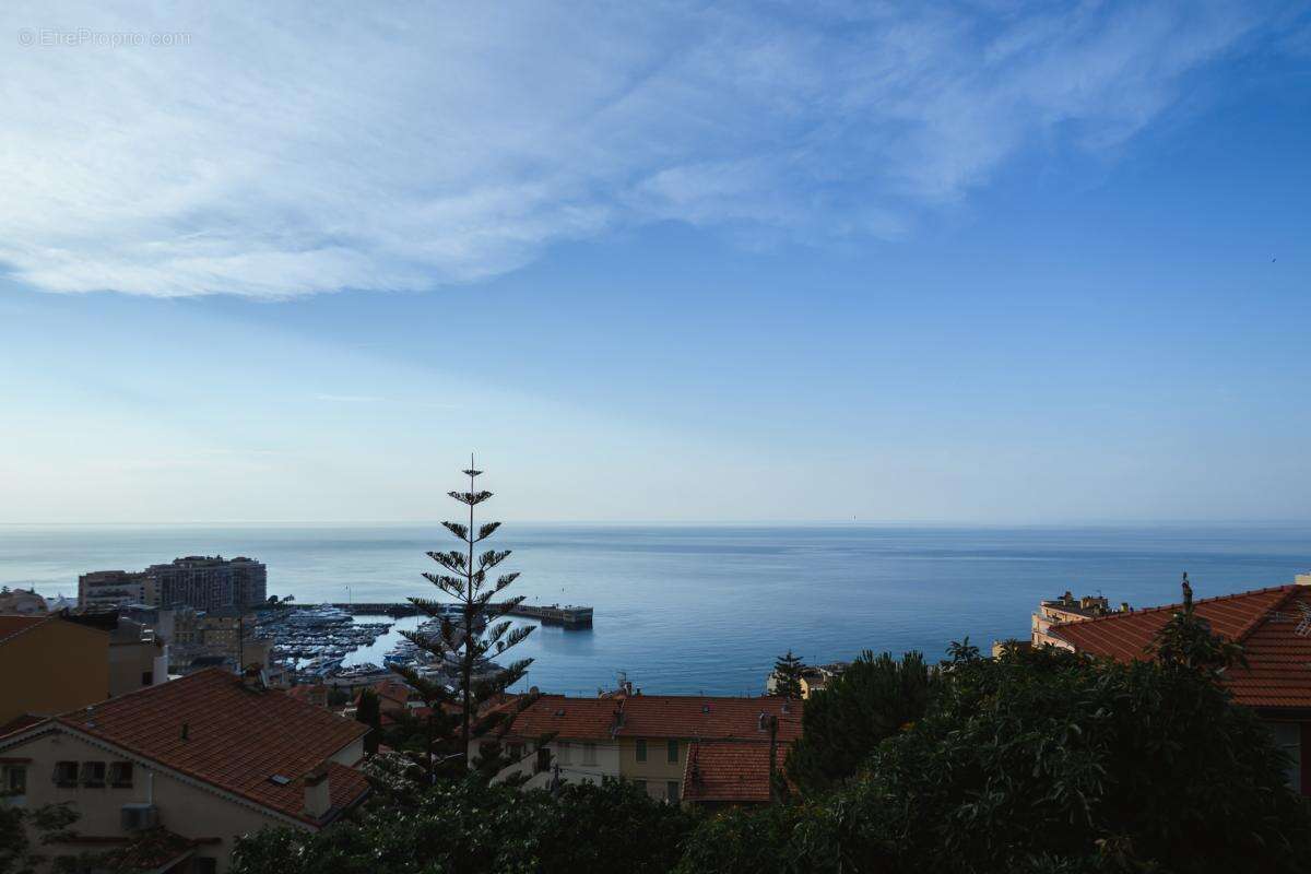 Cap-d'ail - un panorama azureen exclusif aux portes de la principaute - photo 3