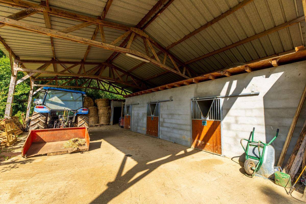 Superbe propriété équestre sur les coteaux de Jurançon – - photo 24