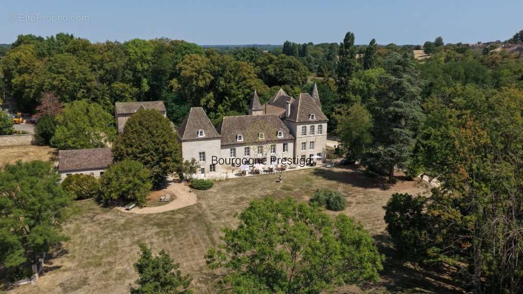 Chateau de caractere aux racines medievales entre patrimoine et art de vivre bourguignon - photo 24