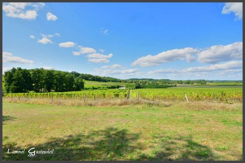 Maison à LES LEVES-ET-THOUMEYRAGUES