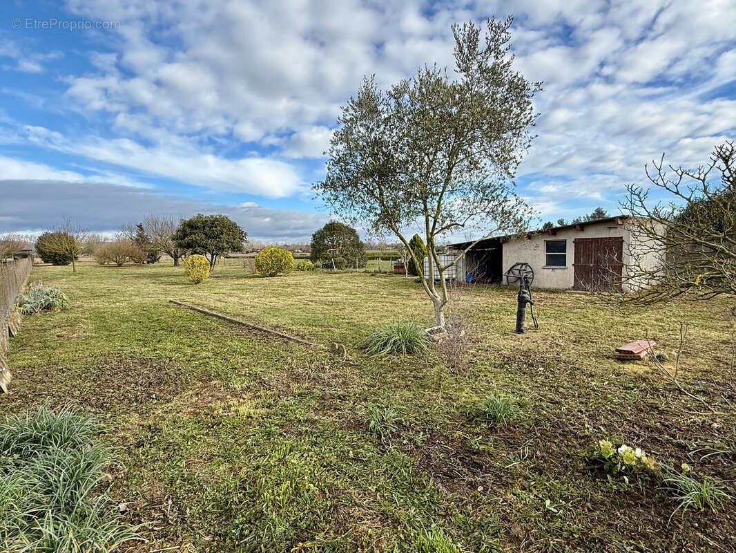 Maison à MARTRES-TOLOSANE