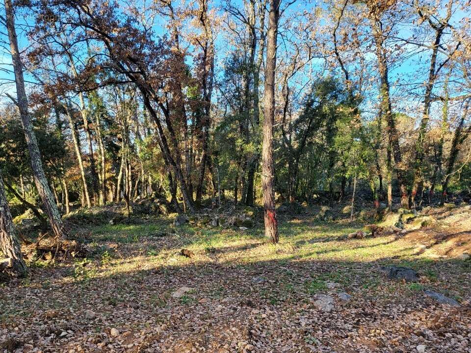 Terrain à BRIGNOLES