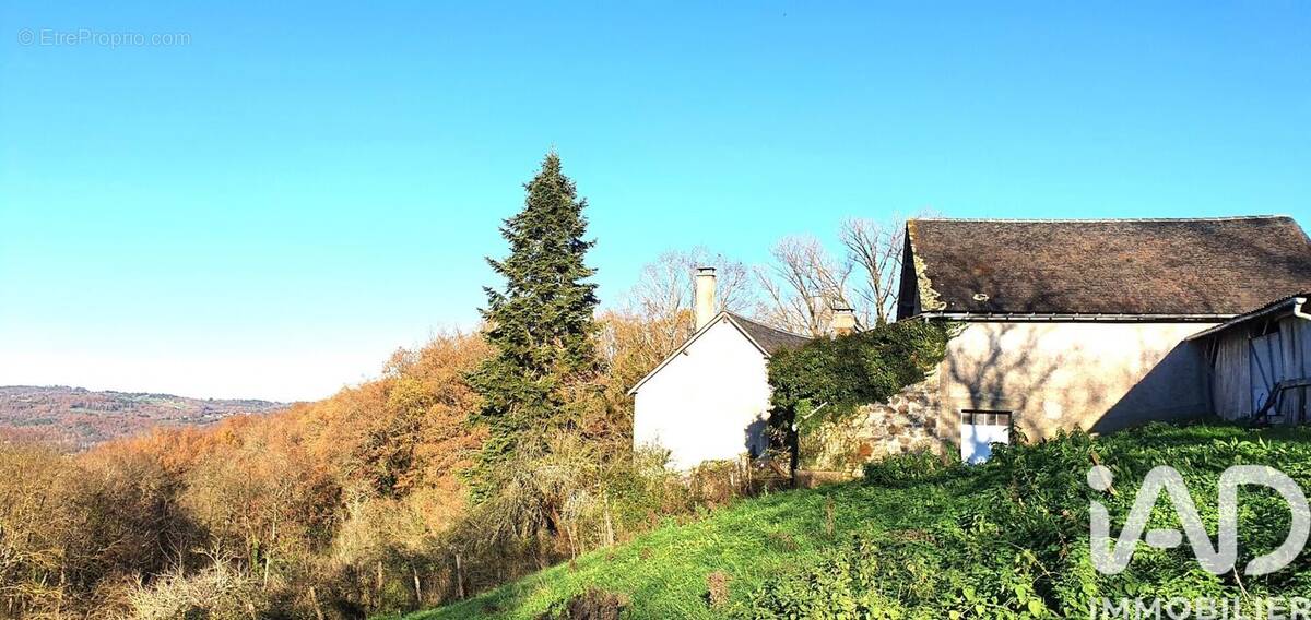 Photo 1 - Maison à TERRASSON-LAVILLEDIEU