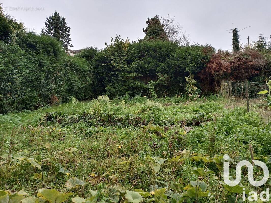 Photo 1 - Terrain à AMBLEVILLE