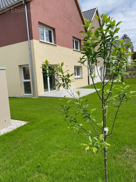 Appartement à BARTENHEIM